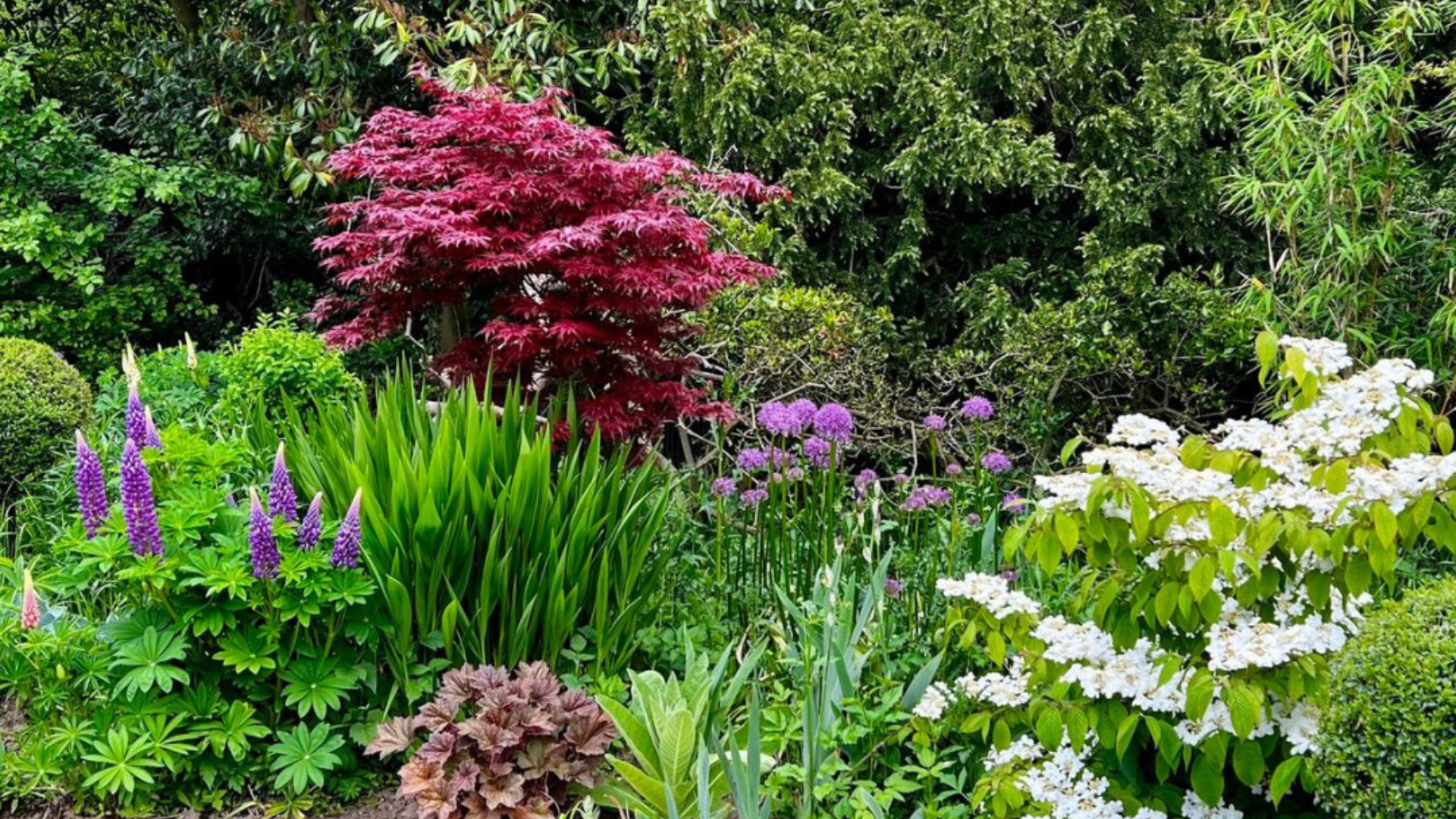 dinner bed and breakfast scarborough