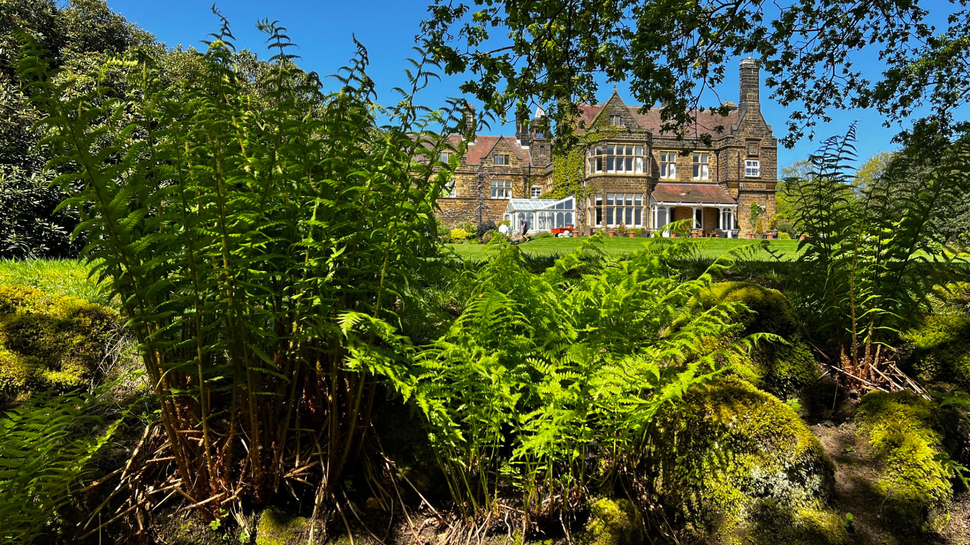 dinner bed and breakfast scarborough