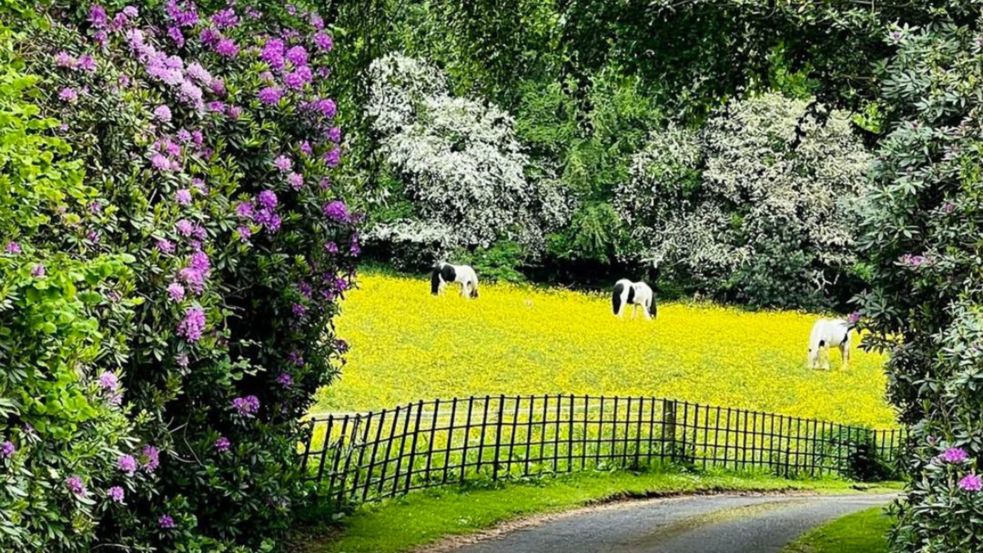 wrea head hall country house hotel